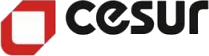 Cesur